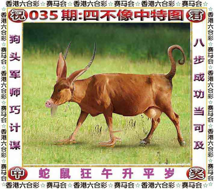四不像四不像
