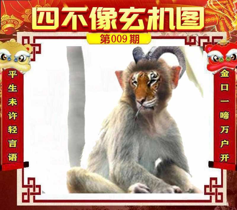 四不像四不像