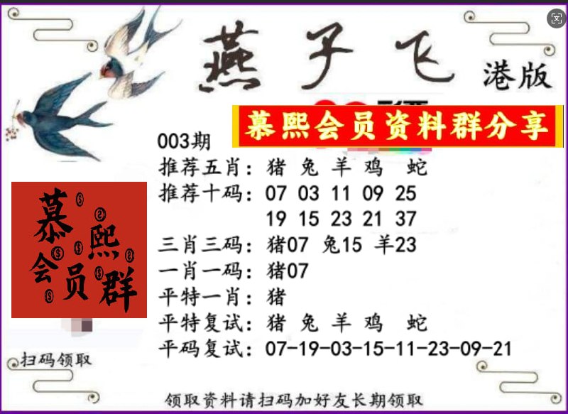 香港燕子飞