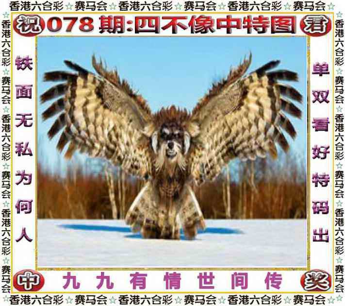 四不像四不像
