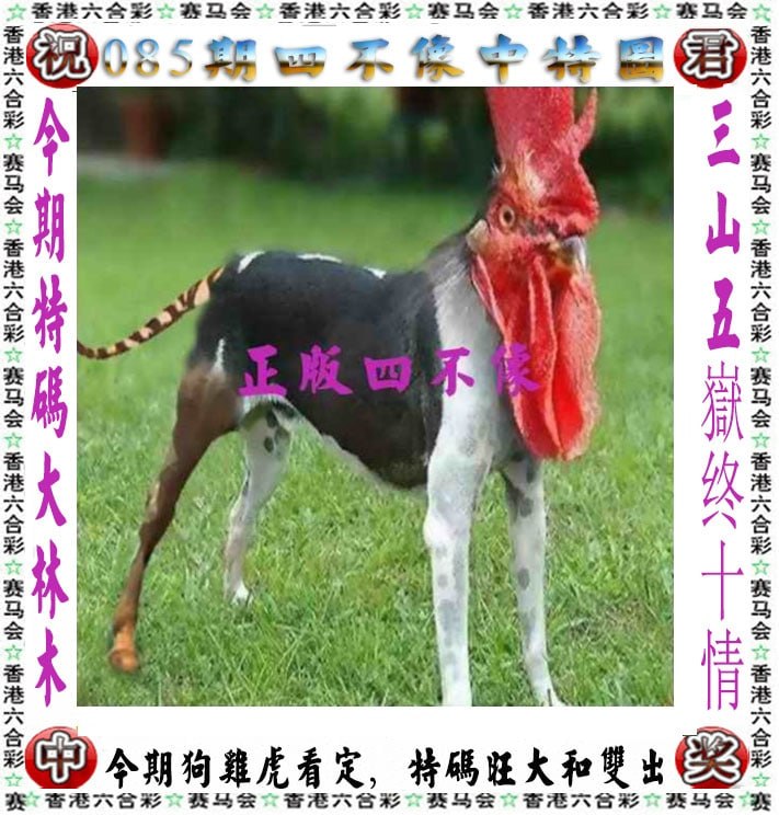 四不像四不像