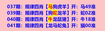 规律四肖