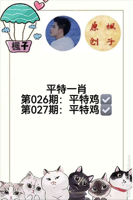 香港枫子香港枫子