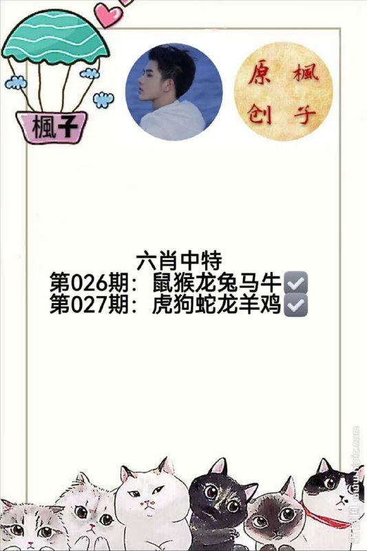 香港枫子香港枫子