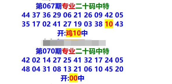 专业二十码