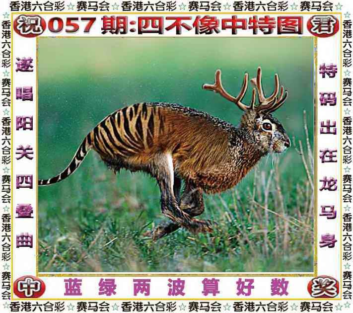 四不像四不像