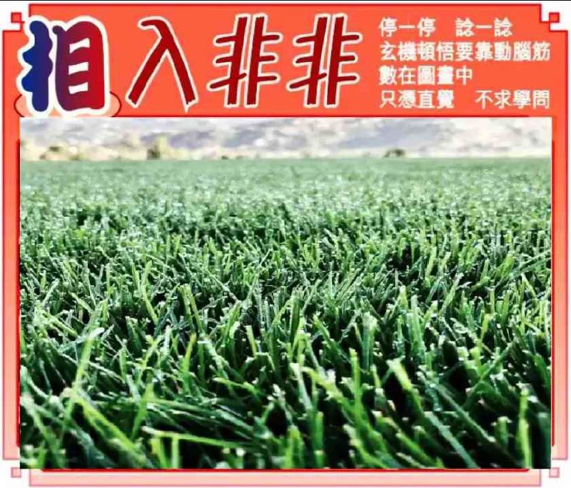 非非图
