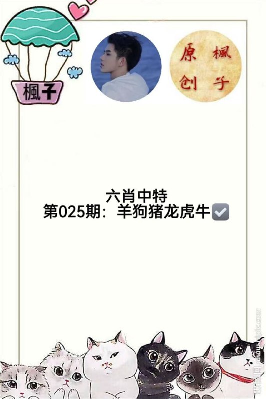 香港枫子香港枫子