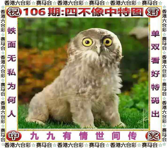 四不像四不像
