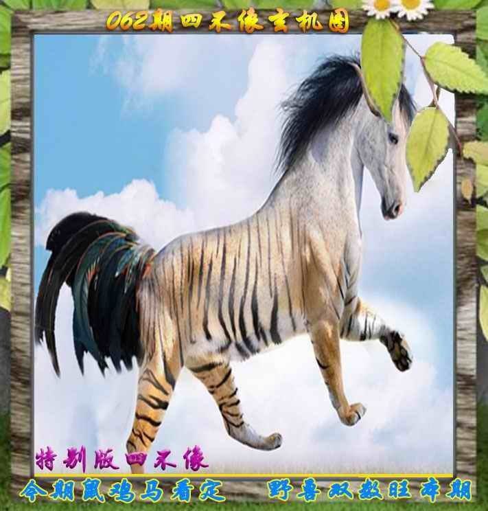 四不像四不像