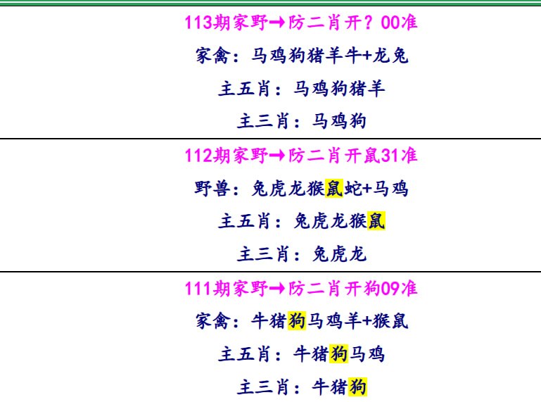 抓码王系列抓码王系列