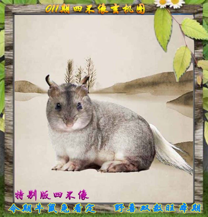 四不像四不像