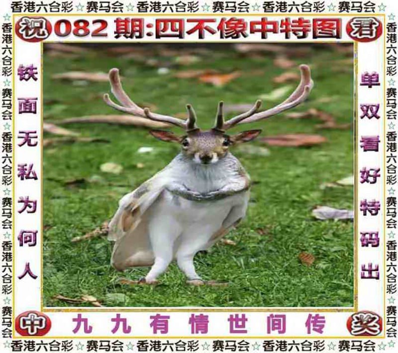四不像四不像