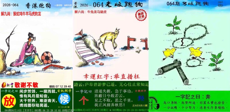 跑狗