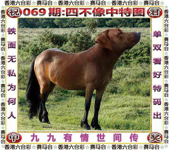 两肖中特两肖中特