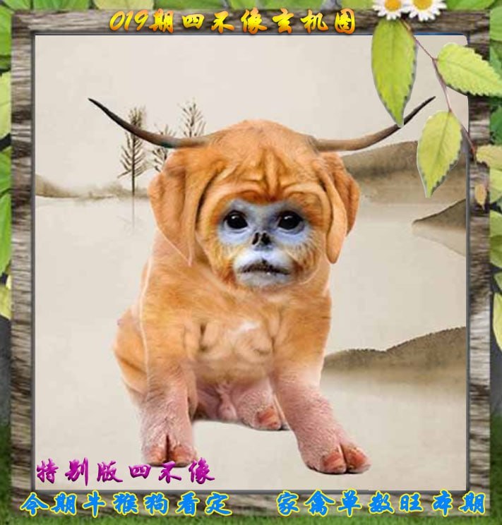 四不像四不像