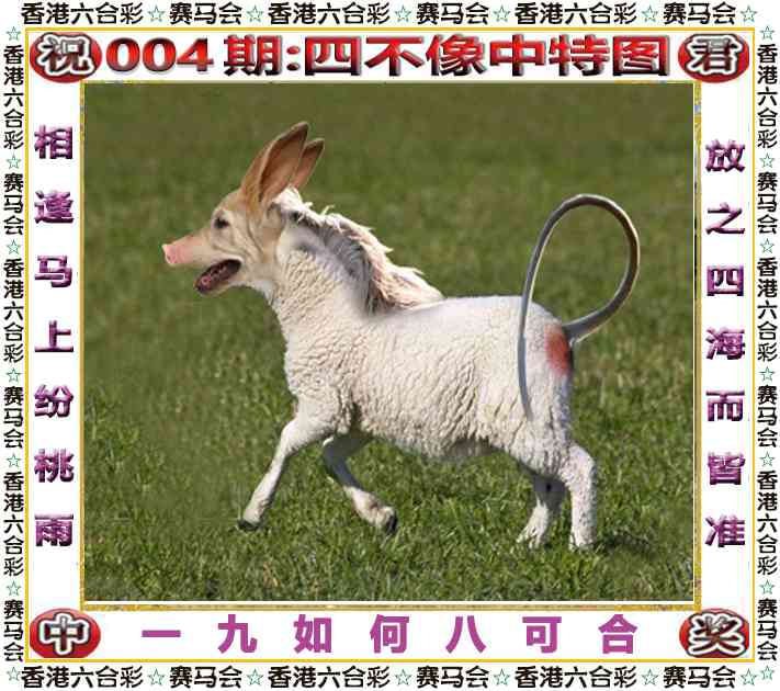 四不像四不像