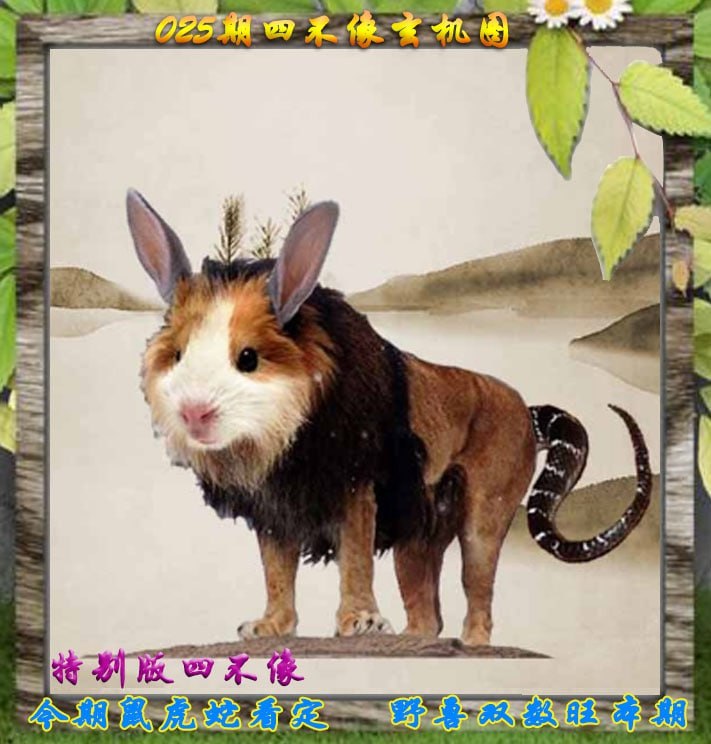 四不像四不像