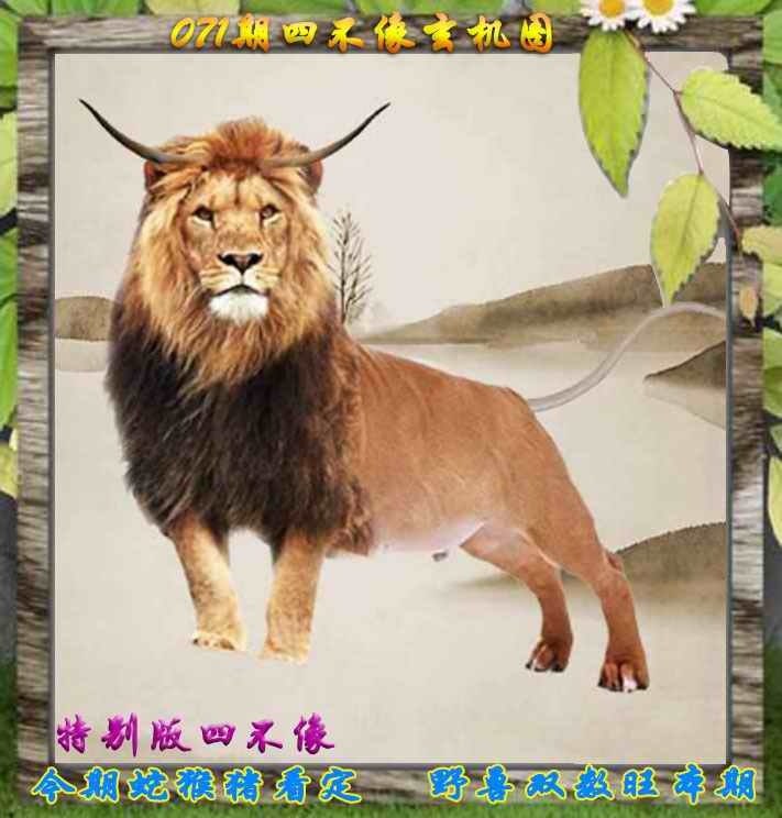四不像四不像