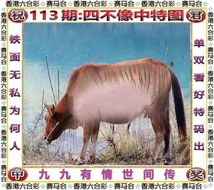 四不像四不像