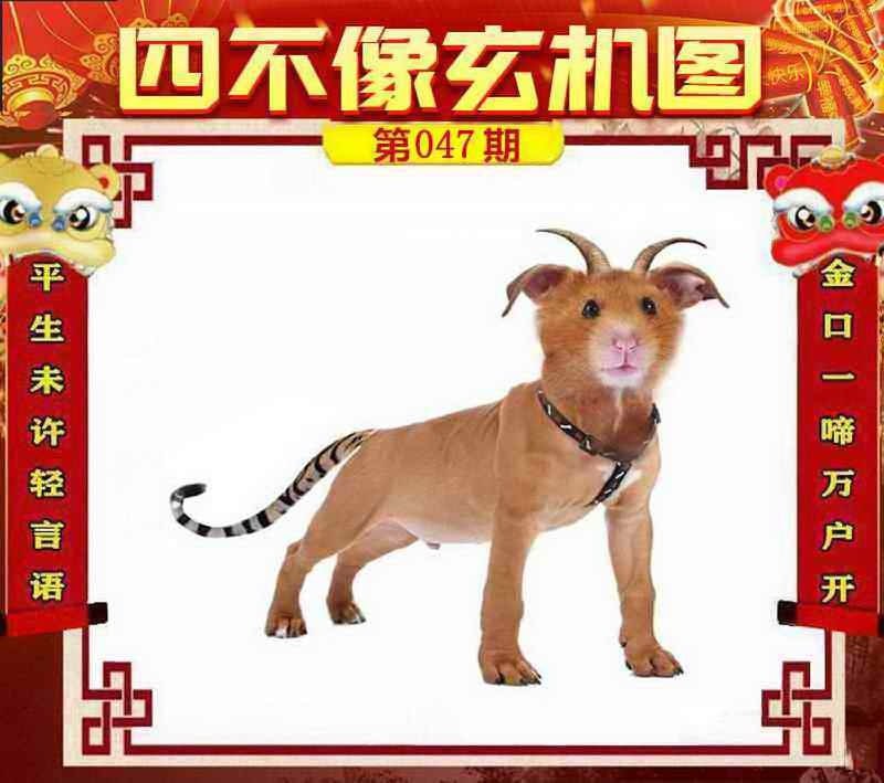 四不像四不像
