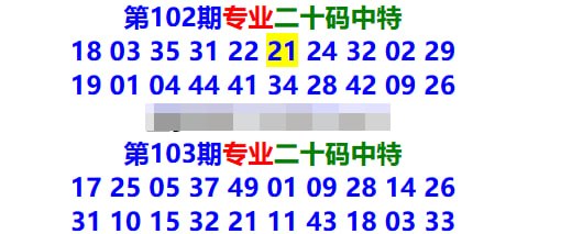 专业二十码