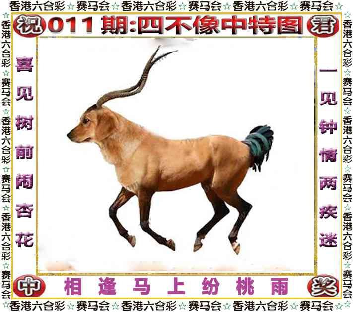 四不像四不像