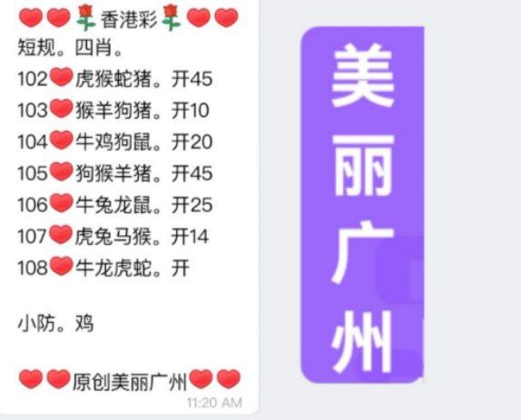 美丽广州全套美丽广州全套