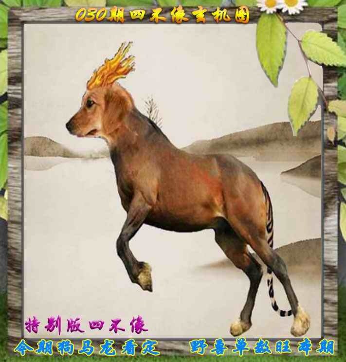 四不像四不像
