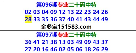 专业二十码