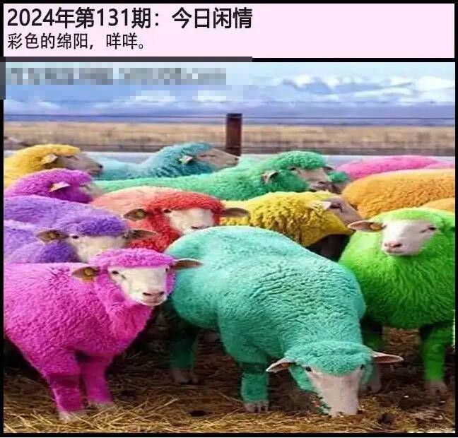 今日闲情今日闲情