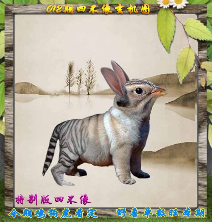 四不像四不像