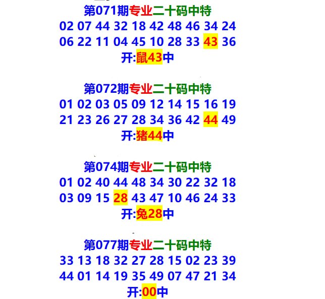 专业二十码