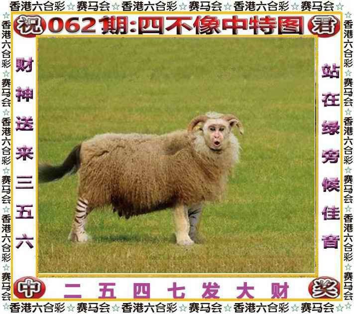 四不像四不像