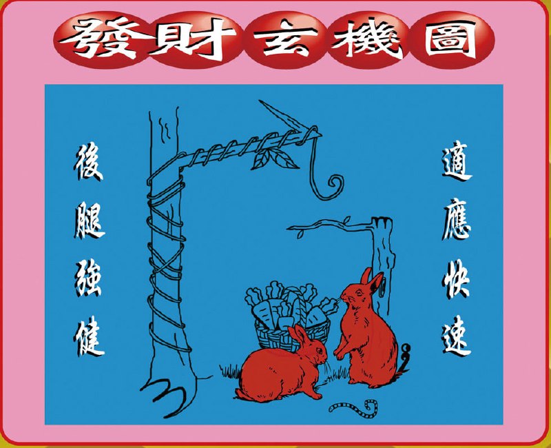 香港图库资料香港图库资料