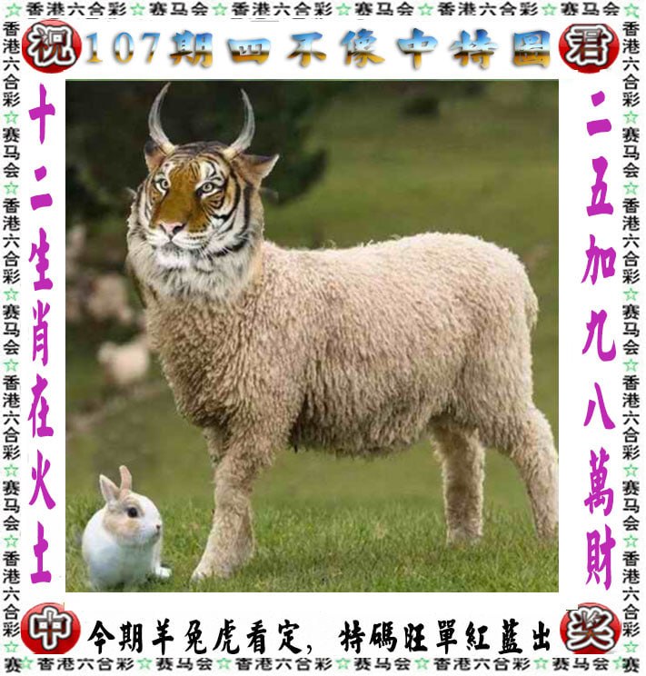 四不像四不像