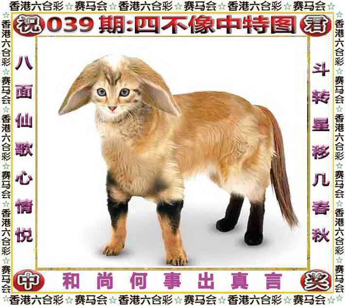 四不像四不像