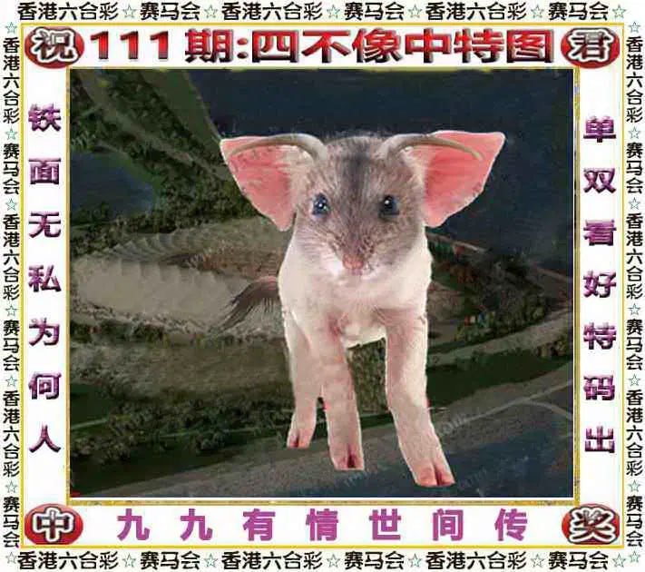 四不像四不像