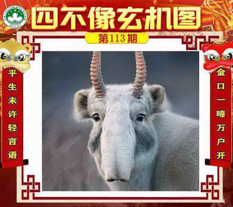 四不像四不像