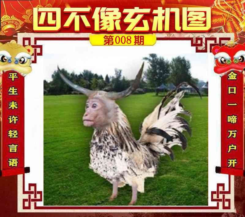 四不像四不像