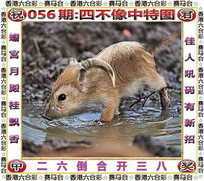 四不像四不像