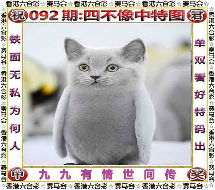 四不像四不像