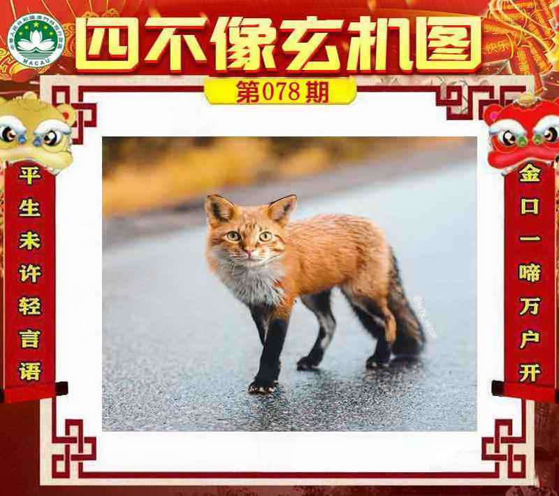 四不像四不像