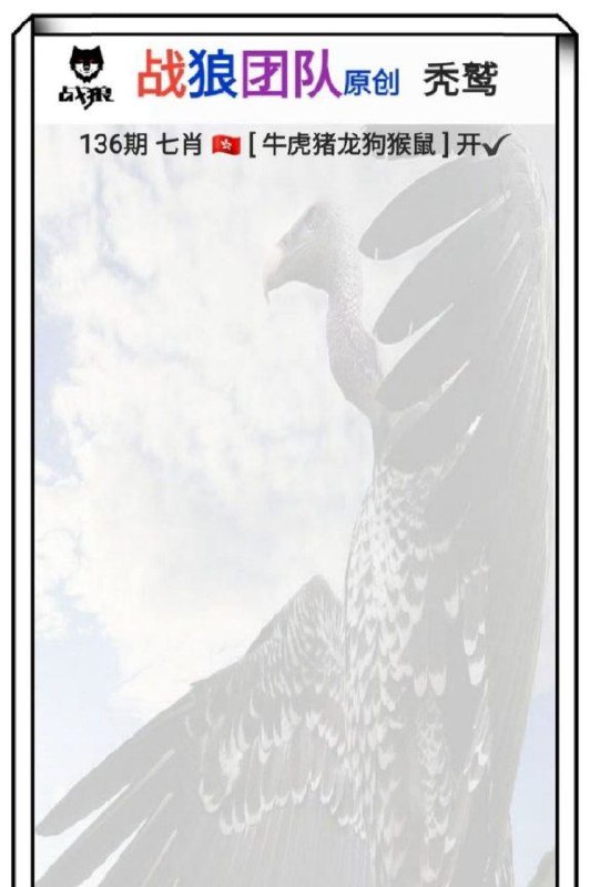 战狼团队战狼团队