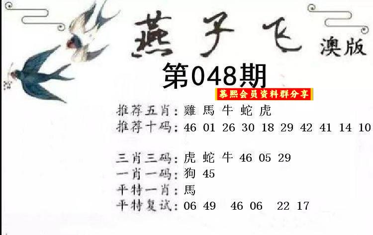 燕子飞