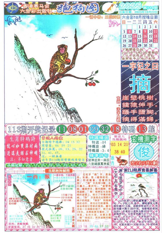 跑狗跑狗