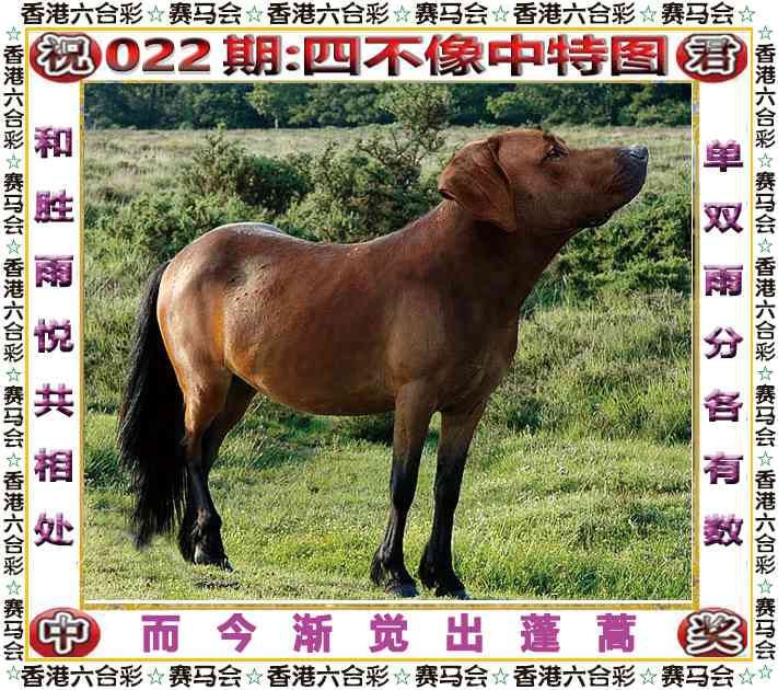 四不像四不像