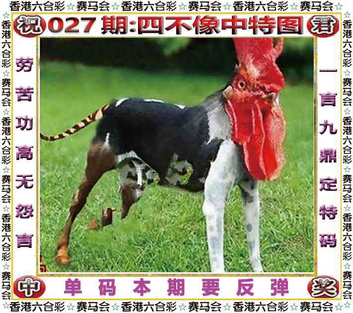 四不像四不像