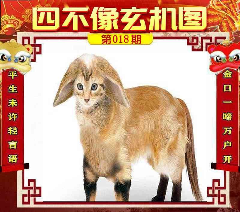 四不像系列四不像系列