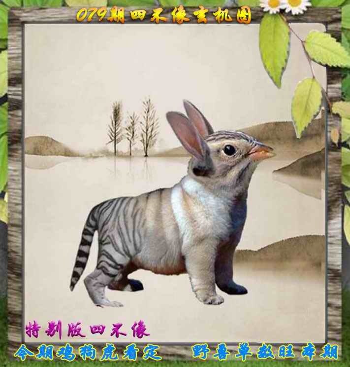 四不像四不像